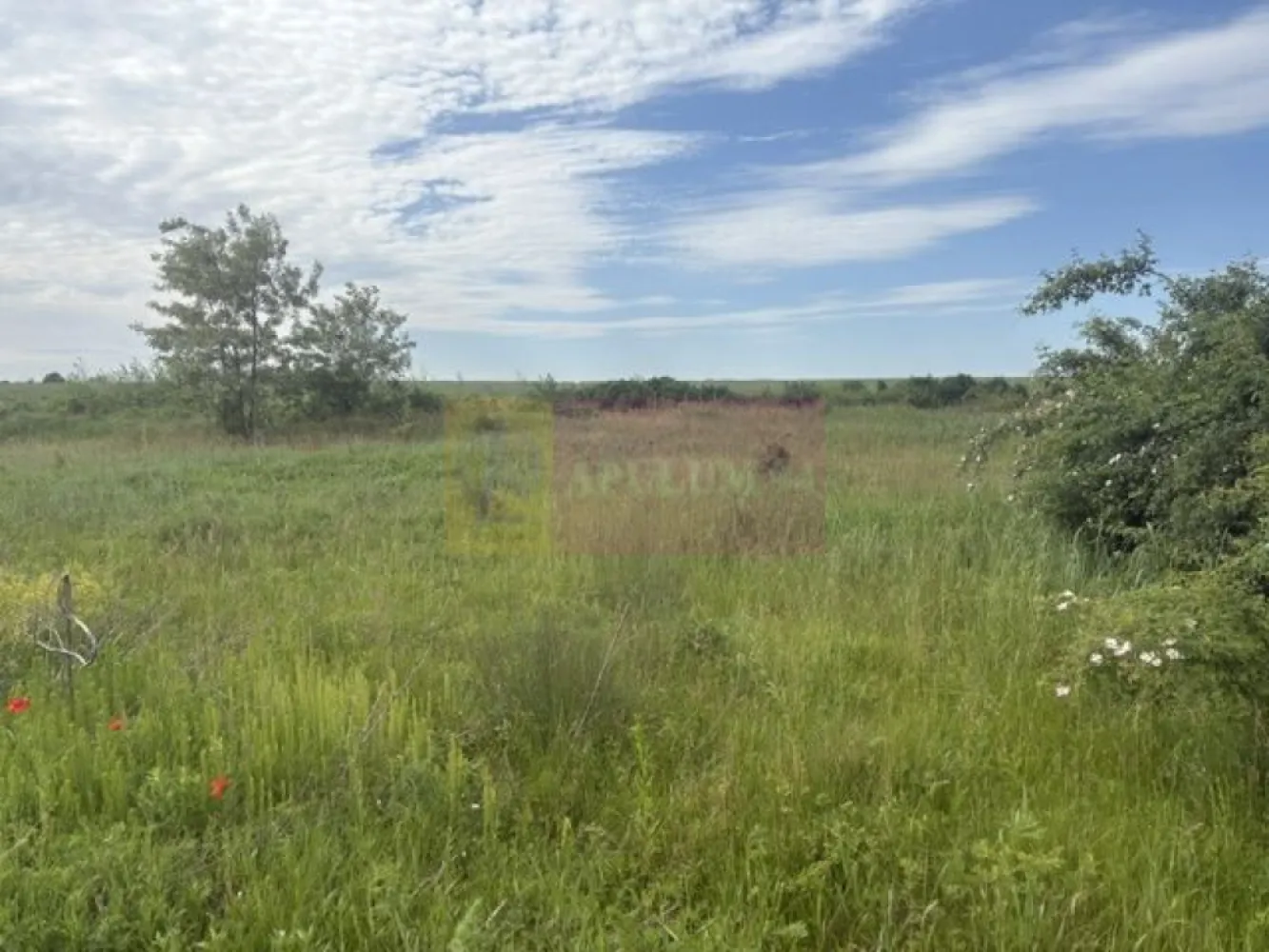 Teren Corbeanca- Drumul Garii Odai. - Compania imobiliara Apulum 94 va propune un teren de 9974 mp situat in Corbeanca- Ilfov, in zona strazii Drumul Garii Odai- Str Cantonului- Str Radarului. 
Terenul are in imediata apropiere autostrada A0- la care se lucreaza si este in viitoare dezvoltare. 
Curentul este la aproximativ 100-150 metri. 
Pentru vizionare si mai milte detalii nu ezitati sa ma contactati pe nr 0733683446- Laura Ionescu.