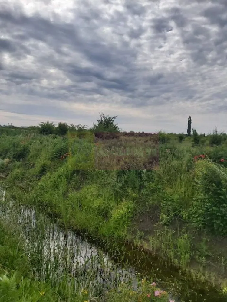 Teren Corbeanca- Drumul Garii Odai. - Compania imobiliara Apulum 94 va propune un teren de 9974 mp situat in Corbeanca- Ilfov, in zona strazii Drumul Garii Odai- Str Cantonului- Str Radarului. 
Terenul are in imediata apropiere autostrada A0- la care se lucreaza si este in viitoare dezvoltare. 
Curentul este la aproximativ 100-150 metri. 
Pentru vizionare si mai milte detalii nu ezitati sa ma contactati pe nr 0733683446- Laura Ionescu.