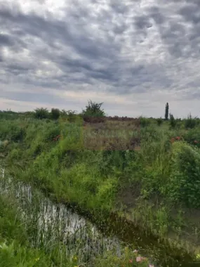 Teren Corbeanca- Drumul Garii Odai.