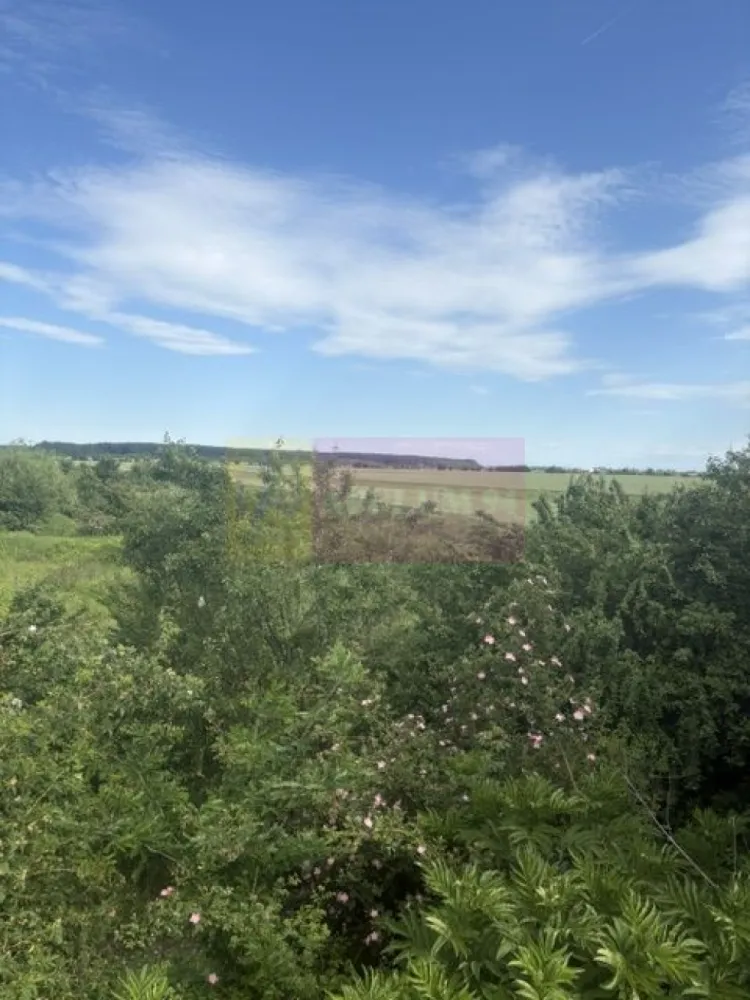 Teren Corbeanca- Drumul Garii Odai. - Compania imobiliara Apulum 94 va propune un teren de 9974 mp situat in Corbeanca- Ilfov, in zona strazii Drumul Garii Odai- Str Cantonului- Str Radarului. 
Terenul are in imediata apropiere autostrada A0- la care se lucreaza si este in viitoare dezvoltare. 
Curentul este la aproximativ 100-150 metri. 
Pentru vizionare si mai milte detalii nu ezitati sa ma contactati pe nr 0733683446- Laura Ionescu.
