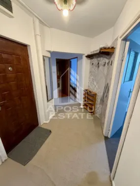Apartament 3 camere, pet-friendly, de inchiriat, Dambovita, Timisoara