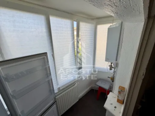 Apartament 3 camere, pet-friendly, de inchiriat, Dambovita, Timisoara