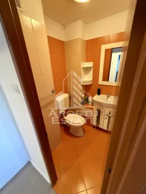 Apartament 3 camere, pet-friendly, de inchiriat, Dambovita, Timisoara