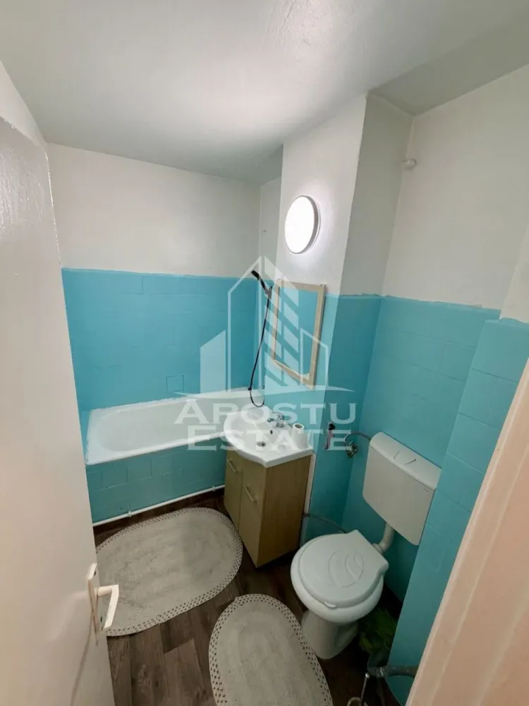 Apartament 3 camere, pet-friendly, de inchiriat, Dambovita, Timisoara