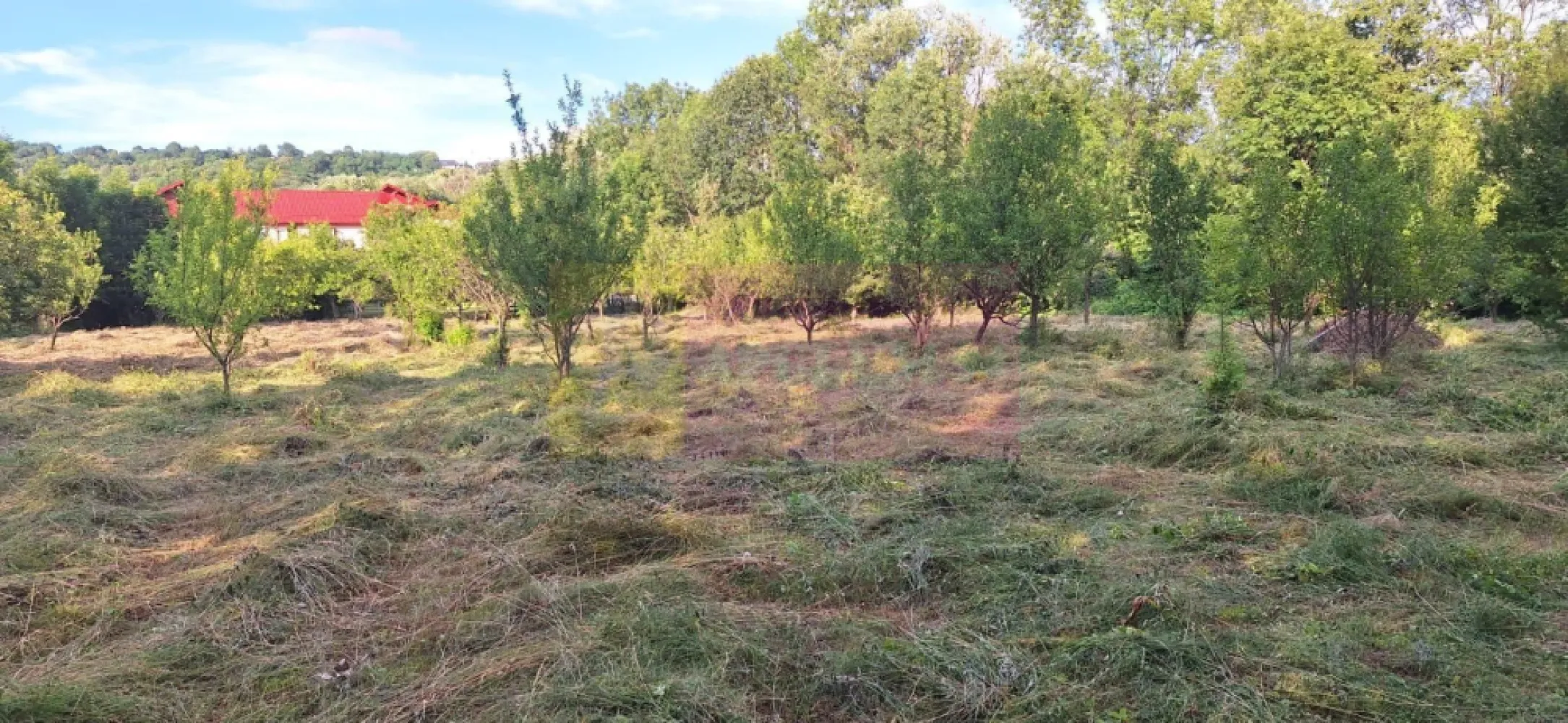 Vila de vanzare cu 6 camere si teren de 5116 mp in Cornu, Prahova