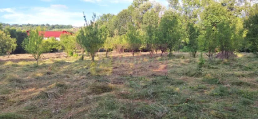 Vila de vanzare cu 6 camere si teren de 5116 mp in Cornu, Prahova