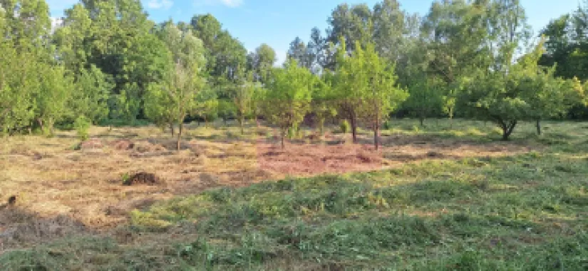 Vila de vanzare cu 6 camere si teren de 5116 mp in Cornu, Prahova