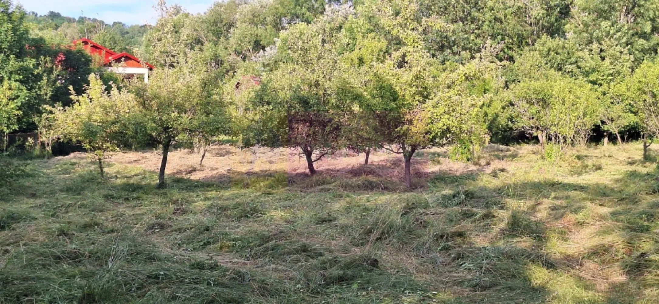 Vila de vanzare cu 6 camere si teren de 5116 mp in Cornu, Prahova