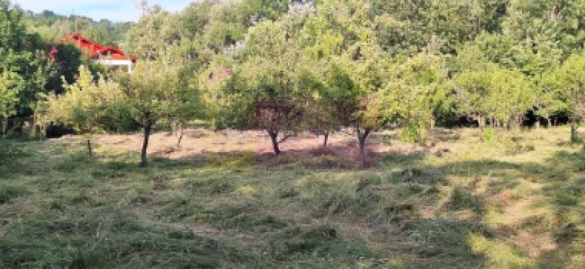 Vila de vanzare cu 6 camere si teren de 5116 mp in Cornu, Prahova