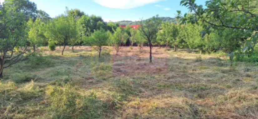 Vila de vanzare cu 6 camere si teren de 5116 mp in Cornu, Prahova