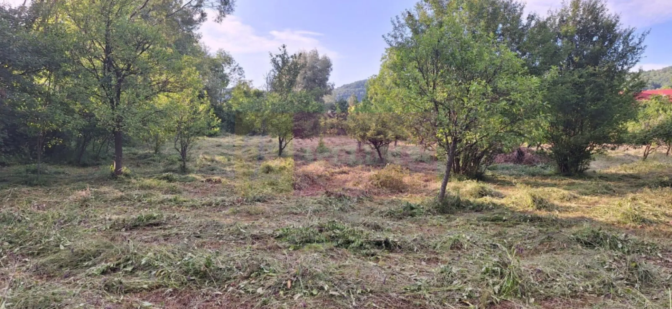 Vila de vanzare cu 6 camere si teren de 5116 mp in Cornu, Prahova