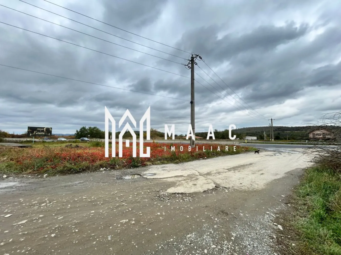 Teren extravilan | 3700 mp | Deschidere la DN | Intrare Vestem – Sibiu - Maac Imobiliare prezintă un teren extravilan situat la intrarea în localitatea Veștem, jud. Sibiu, cu deschidere directă la Drumul Național.

Caracteristici principale:

Suprafață totală: 3.700 mp

Deschidere: 24 ml la DN

Preț: 19 €/mp – negociabil

Categorie de folosință: extravilan

Terenul este amplasat într-o zonă cu acces facil și vizibilitate excelentă, fiind ideal pentru depozite, hale industriale, activități agricole sau parcare auto.

 Pentru mai multe detalii, vă rugăm să menționați telefonic ID-ul anunțului: CP2768514