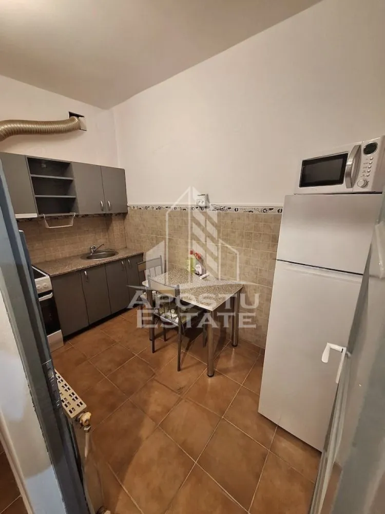 Apartament cu 1 camera , de inchiriat , Zona Lipovei , Timisoara - Agentia imobiliara APOSTU ESTATE va propune spre inchiriere un apartament cu 1 camera ,spatios si luminos, situat in zona Lipovei , o zona linistita si bine pozitionata din Timisoara, potrivit pentru cupluri,familii, sau studenti care isi doresc o locuinta unde sa se simta confortabil si cu acces facil catre scoli, statii de autobuz, supermarketuri , magazine de zona, parcuri.

Suprafata utila: 31 mp
Compartimentare eficienta:
-Hol de acces generos
-Bucatarie complet mobilata si utilata, cu loc de luat masa
-Dormitor mobilat si utilat
-Baie prevazuta cu cada

Confort si facilitati:
-Incalzirea apartamentului: centrala proprie 
-Apartamentul este complet mobilat si utilat
-Se accepta animale de companie de talie mica de catre proprietar

Localizare:
-Timis,Timisoara, zona Lipovei – acces facil spre magazine, supermarketul Lidl, scoli, parcuri si mijloace de transport in comun.

Ideal pentru:
-Cupluri
-Studenti

Pret chirie lunara: 330 euro - usor negociabil 
Programeaza o vizionare pentru a-ti putea imagina viitorul aici!
ID intern: CP3125226