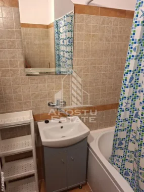 Apartament cu 1 camera , de inchiriat , Zona Lipovei , Timisoara