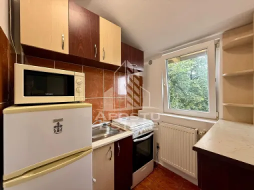Apartament cu 1 camera , de inchiriat , Zona Take Ionescu , Timisoara