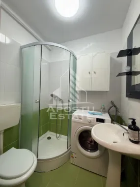 Apartament cu 1 camera , de inchiriat , Zona Take Ionescu , Timisoara