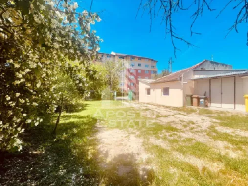 Spatiu birouri - zona Alfa, Penny