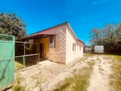 Spatiu birouri - zona Alfa, Penny