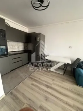 Apartament cu 2 camere , de inchiriat , Zona Lipovei , Timisoara