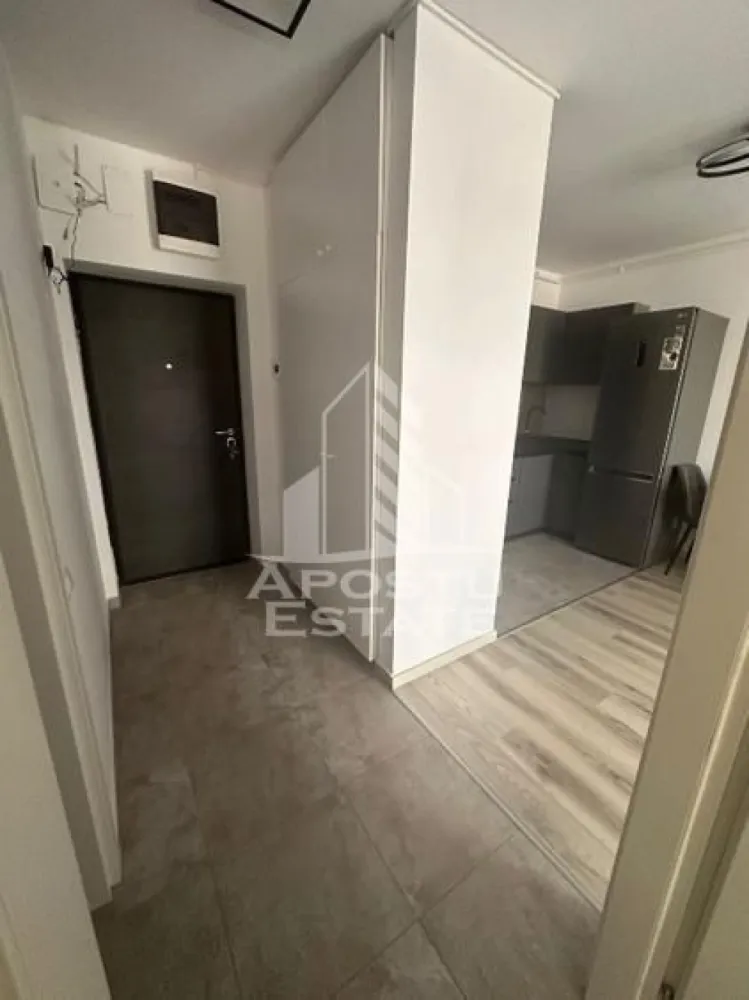 Apartament cu 2 camere , de inchiriat , Zona Lipovei , Timisoara
