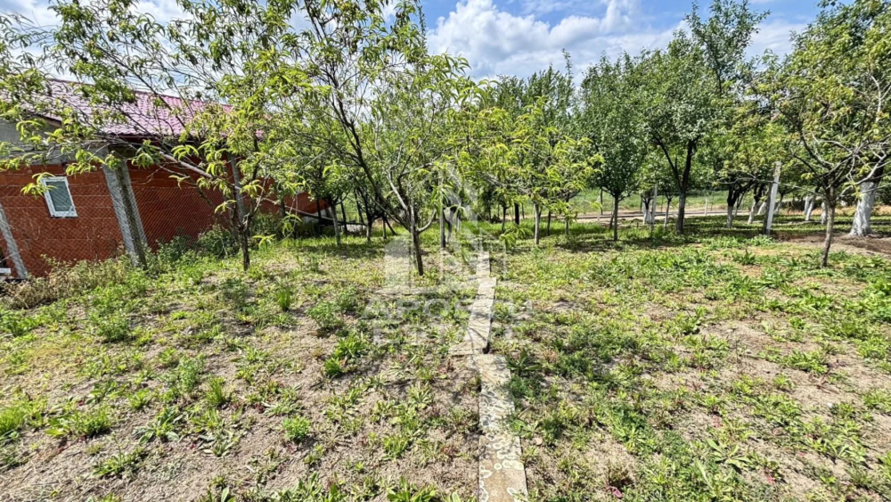 Casa spatioasa, teren 1348 mp, Giarmata