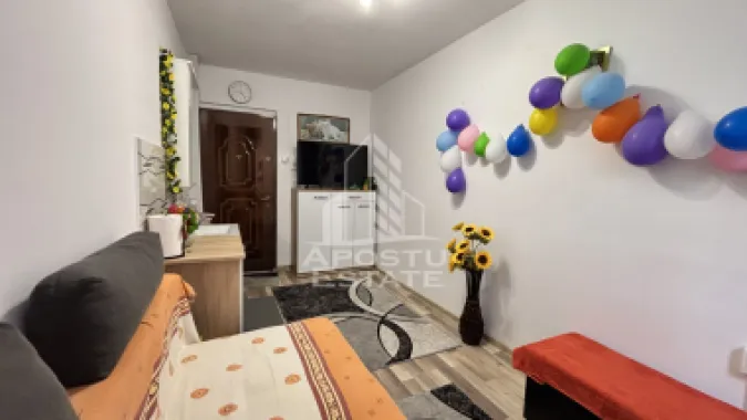 3 camere de camin renovate, mobilate si utilate, zona Dambovita