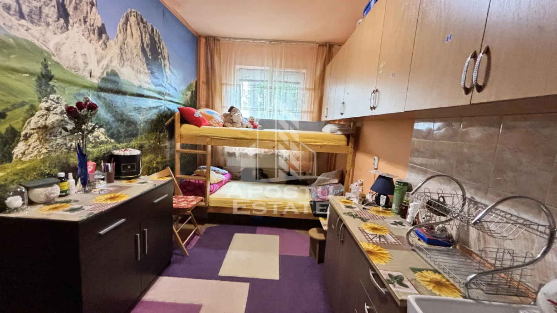 3 camere de camin renovate, mobilate si utilate, zona Dambovita