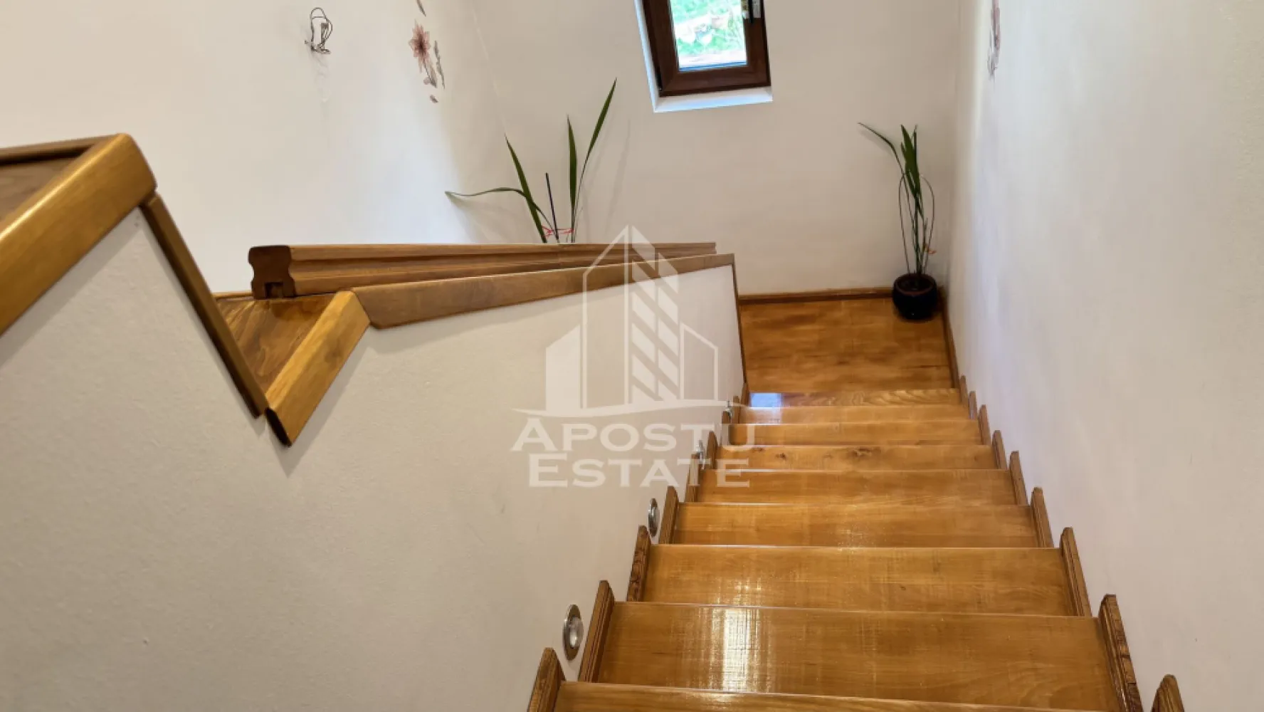 Casa individuala cu 4 camere de vanzare cu teren generos in Chisoda