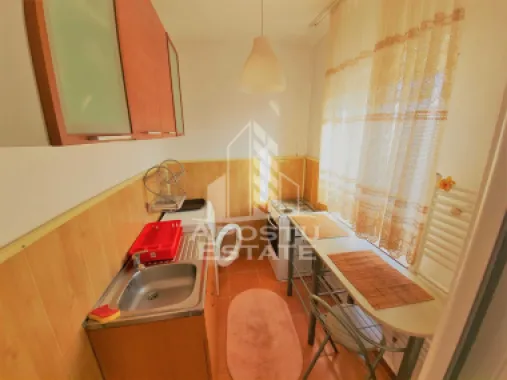 Apartament cu 1 camera de inchiriat, zona Lipovei, Timisoara