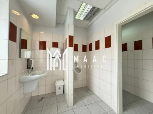 Spatiu de birouri I 186 mpu I Etajul 1 I Zona Sub arini