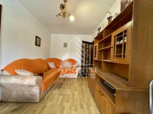 Apartament 3 camere de vanzare, zona Sagului