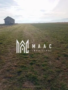 Logo MAAC IMOBILIARE logo