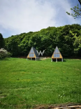 Logo Welhome Imobiliare logo