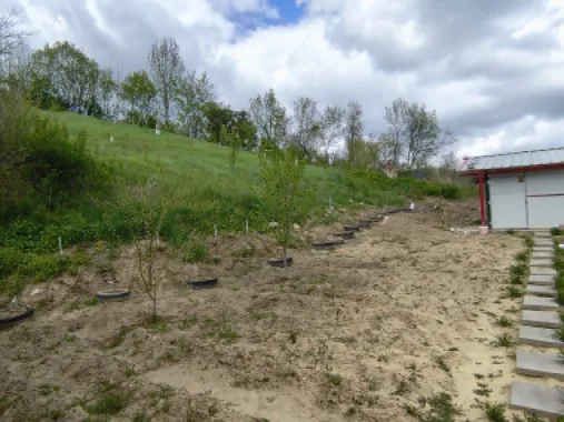 Vând casă renovată la 30 de km de Sibiu