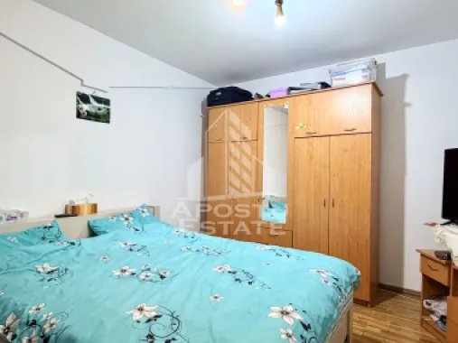 Casa renovata de vanzare pe parter Beregsau Mare
