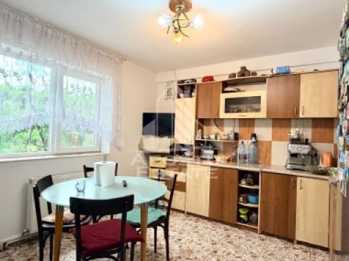 Casa renovata de vanzare pe parter Beregsau Mare
