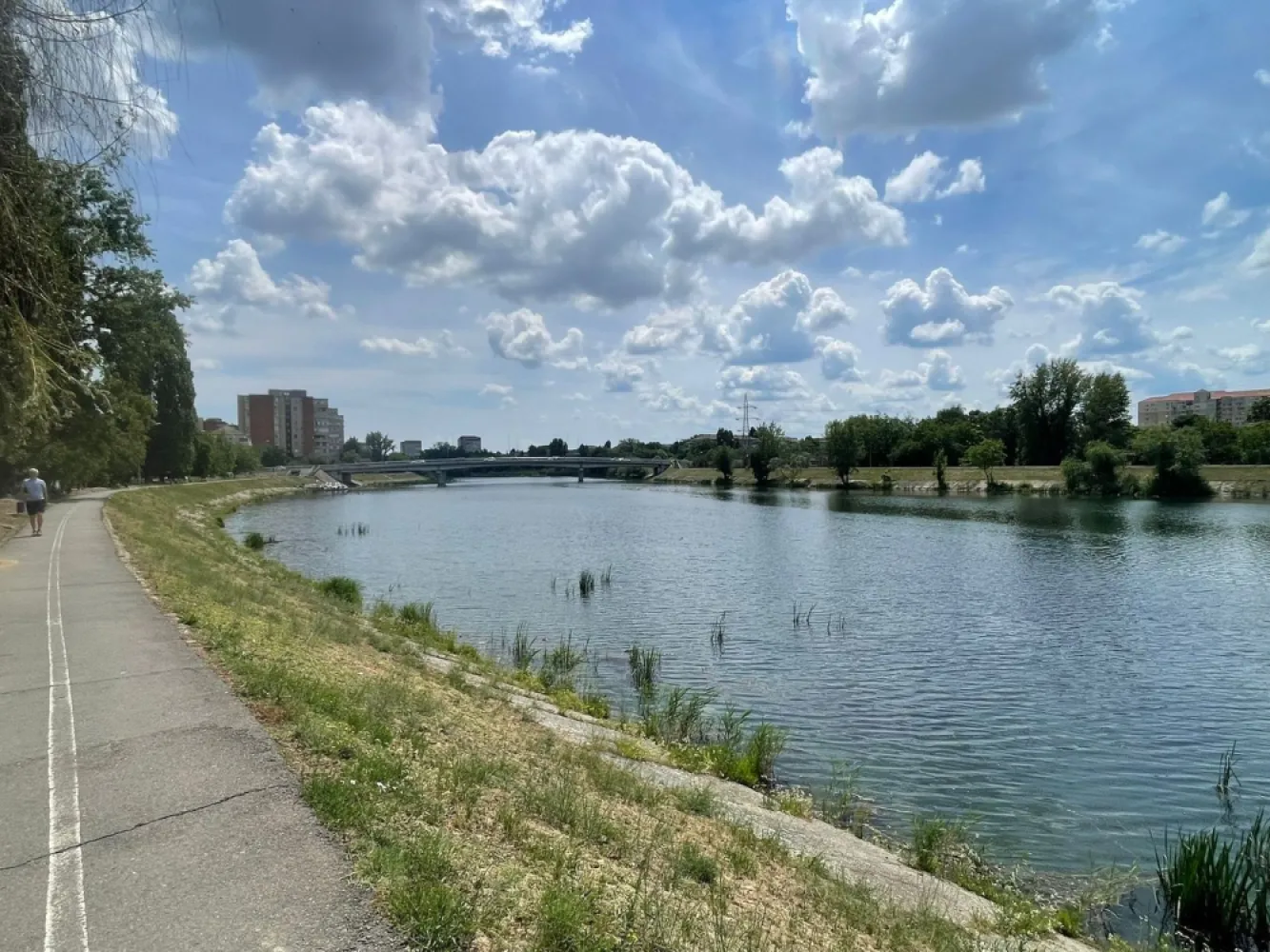 Ap 2 camere dec tip C – Str. Sovata, Oradea | Zonă premium lângă Cris - Se oferă spre vânzare un apartament tip C decomandat, situat într-una dintre cele mai căutate zone din Oradea – Strada Sovata, la etajul 2 din 10, într-un bloc curat, dotat cu două lifturi și reabilitat termic.

Apartamentul este decomandat, spațios și luminos, cu o compartimentare foarte eficientă:

hol generos cu multiple spații de depozitare
bucătărie mare cu anexă
baie spațioasă 
living amplu cu acces către balconul închis cu termopan
dormitor confortabil

Suprafață:

54,36 mp utili + balcon închis (~4 mp)
75 mp construiți

Puncte forte ale locației – greu de egalat:

la 1 minut de malul Crișului – zonă perfectă pentru relaxare și activități în aer liber
zonă liniștită, ferită de zgomot, cu orientare spre Criș
parc și locuri de joacă în proximitate
școală la 2 minute, grădiniță aproape
Piața Decebal la doar 10 minute de mers pe jos
magazine, farmacii, bănci și mijloace de transport la câțiva pași

💡 Apartamentul necesită renovare, însă acest lucru devine un avantaj major: îți oferă libertatea de a-l amenaja exact după gustul tău și de a-i crește valoarea semnificativ.

Preț: 80.000 € 

📞 Pentru detalii și vizionare: 0731.290.032