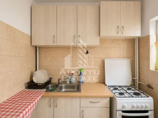 Apartament 1 camera zona Micalaca Pet Friendly