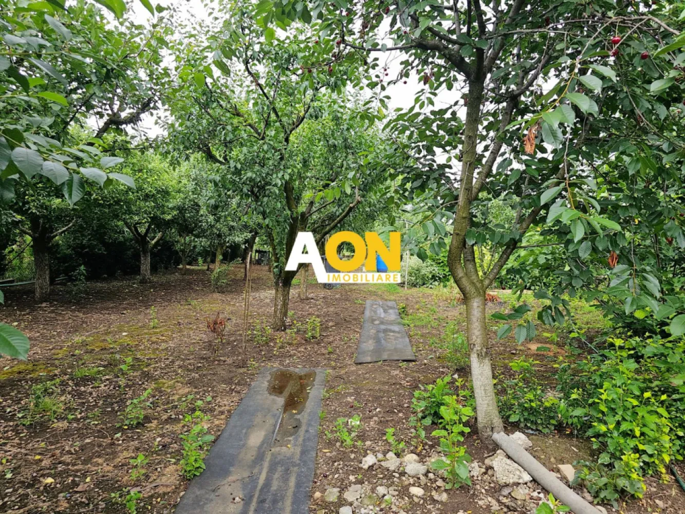 Casa 4 camere, S+P+1, semifinisata, 1424 mp teren, Oarda de Jos - AON Imobiliare vă oferă oportunitatea de a achiziționa o casă individuală spațioasă situată în cartierul Oarda de Jos din Alba Iulia. Cu o suprafață de teren de 1424 mp și o construcție solidă de 240 mp, această casă este potrivită pentru familiile care doresc spațiu și liniste.
Caracteristici:
• Tip: Casă individuală
• Locație: Cartierul Oarda de Jos, Alba Iulia
• Suprafață teren: 1424 mp
• Suprafață construită: 240 mp
• An construcție: 2004
• Regim de înălțime: S+P+1E
• Compartimentare: 
o Subsol: Bucătărie și spațiu de depozitare
o Parter: Living, bucătărie spațioasă, baie, hol
o Etaj: 3 dormitoare, baie
• Facilități: 
o Bucătărie de vară
o Construcții anexe
o Sistem de încălzire cu centrală termică pe gaz și calorifere
o Sobe cu lemne
• Detalii suplimentare: 
o Peretii exteriori sunt nefinisati
o Baia de la etaj nu este amenajată
o Scările de acces sunt nefinisate
• Preț: Discutabil
Această casă are un mare potențial și poate fi transformată în casa de vis a familiei dumneavoastră. Contactați AON Imobiliare pentru a programa o vizionare!
ID intern: CP2052900