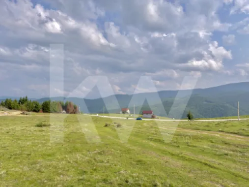 Teren 1003 mp în Păltiniș | Priveliște panoramică către munți