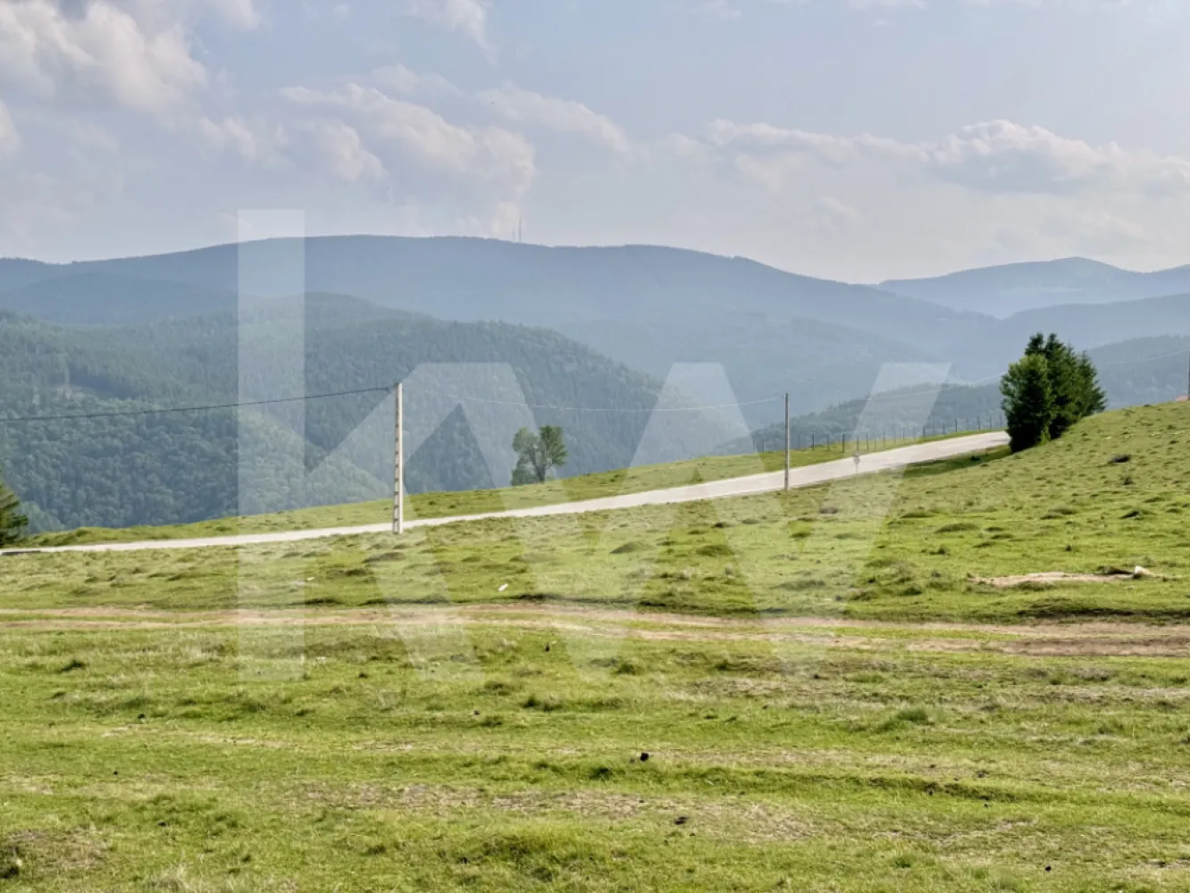 Teren 1003 mp în Păltiniș | Priveliște panoramică către munți