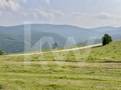 Teren 1003 mp în Păltiniș | Priveliște panoramică către munți