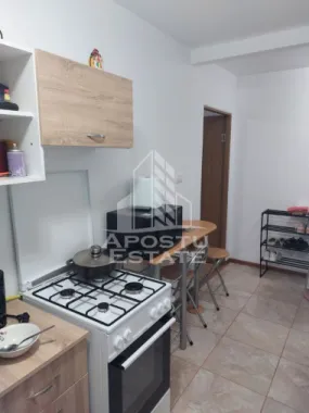 Apartament 1 camera de inchiriat, Medicina, Timisoara