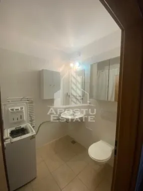 Apartament cu o camera , de vanzare, zona Sagului, Timisoara