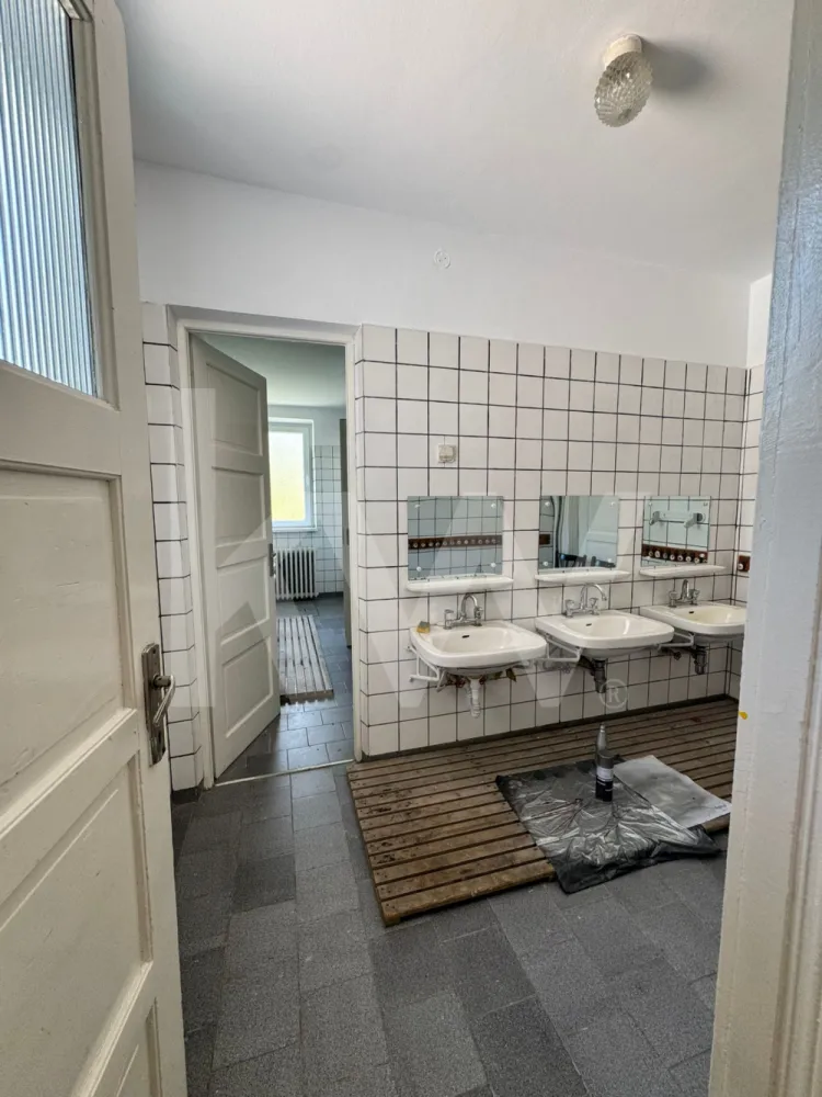 3 CASUTE IN MIJLOCUL NATURII