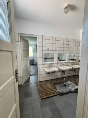 3 CASUTE IN MIJLOCUL NATURII