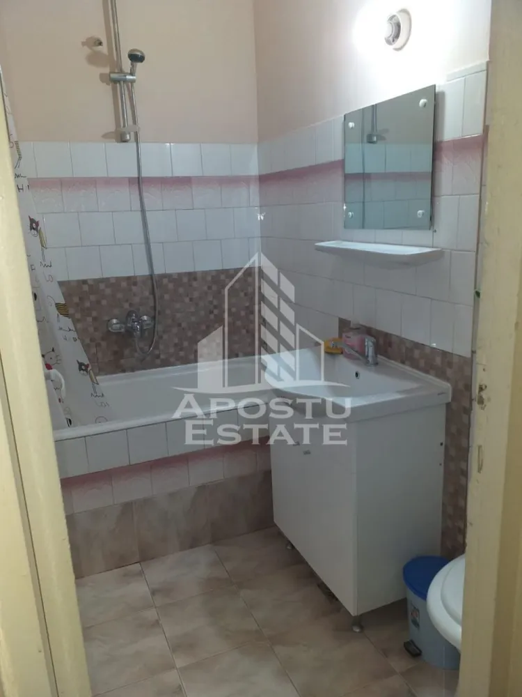 Apartament cu 1 camera de inchiriat, 32 mp, Take Ionescu, Timisoara