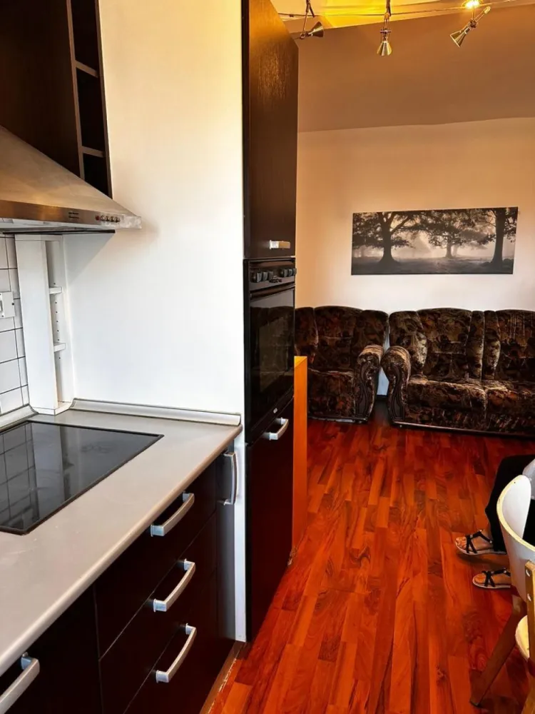 Banu Manta Titulescu apartament 2 camere mobilat de inchiriat