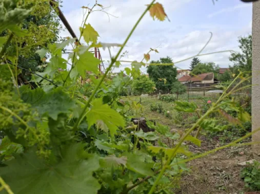 BRASADAS vinde casa individuala 8 cam 8.6a zona Baritiu.