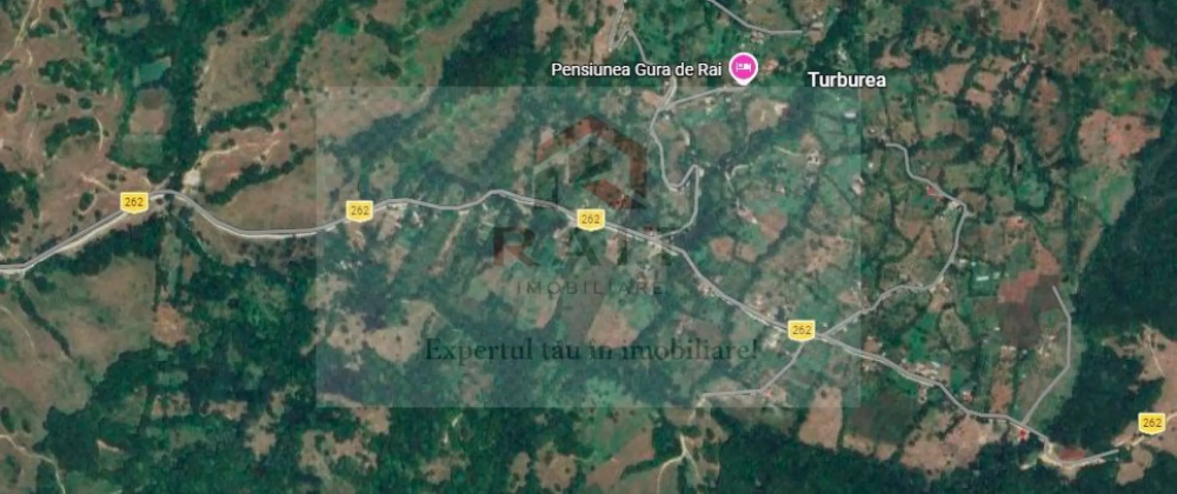 Teren de vanzare Coebeni-Turburea-Arges